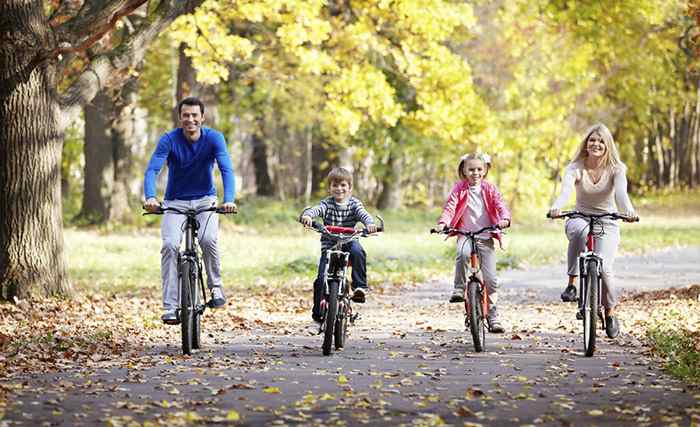 семья катается на велосипедах в парке
